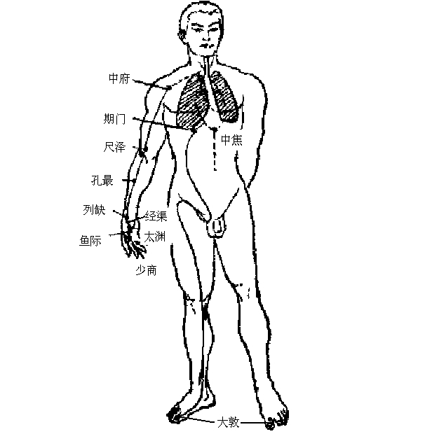 呬字功经络走向